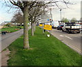 ST3037 : Tree-lined East Quay, Bridgwater by Jaggery