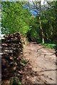  : Wood Pile Near Skreens Park by Glyn Baker