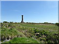 SY6187 : Hardy Monument by PAUL FARMER