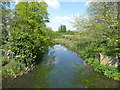 TQ3695 : A branch of the River Lee Navigation by Marathon