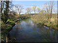 TL8187 : Little Ouse River, Santon Downham by Hugh Venables