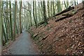  : Path along Strid Wood by Derek Harper