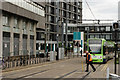 TQ3265 : Tramlink by Peter Trimming