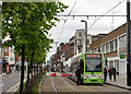 TQ3265 : Tramlink by Peter Trimming