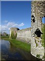 TQ6404 : Pevensey Castle - Moat and western façade by Rob Farrow