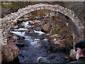 NH9022 : Old Pack Horse Bridge at Carrbridge by David Dixon