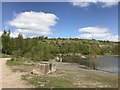 SJ8147 : Silverdale Country Park by Jonathan Hutchins