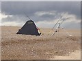 TM4770 : Sea angler on Dunwich beach by Oliver Dixon