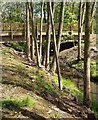 SK5500 : Footbridge crossing the Lubbesthorpe Brook by Mat Fascione