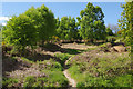 SK0111 : Hednesford Hills by Stephen McKay