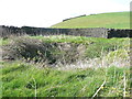 SE0828 : Brow Pit mine shaft and gin circle wall, Halifax by Humphrey Bolton