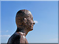 SJ3098 : Rusting Iron Man on Crosby Beach by David Dixon