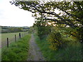 NS8049 : Evening light on footpath above Rosebank by Alan O'Dowd