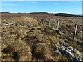 NS2886 : Junction of fences by Lairich Rig