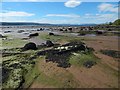 NS3675 : The shore at Ardoch by Lairich Rig