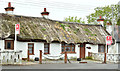 J5382 : Thatched cottages, Ballymacormick Road, Bangor (May 2017) by Albert Bridge