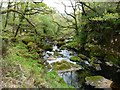 SH6842 : Afon Goedol, downstream from the footbridge by Christine Johnstone