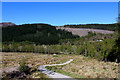 NH4116 : Great Glen Way near Invermoriston by Chris Heaton