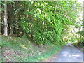 NT4035 : Country road in Tweeddale by M J Richardson