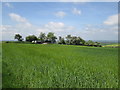 SE8452 : Yorkshire  Wolds  Way  approaching  Warren  Farm by Martin Dawes