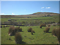 NZ0200 : Rough pastureland, Castle Farm by Karl and Ali