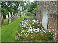 TQ7749 : Lozenge graves in St Peter's Churchyard, Boughton Monchelsea by Marathon