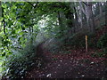 SK2957 : Footpath above Bonsall Hollow (set of 2 images) by Chris Gunns