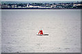 NT1781 : Port Maker Buoy Number 16, Firth of Forth by David Dixon