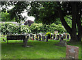 NZ2949 : Gravestones at Christ Church by Trevor Littlewood