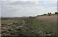 TL9406 : Foreshore at Ramsey Island by Paul Franks