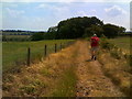 SO8689 : Footpath in a Heat wave by Gordon Griffiths