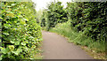 J4669 : Foot and cycle path, Comber bypass (June 2017) by Albert Bridge