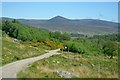 NC7910 : Road in Strath Brora, Sutherland by Andrew Tryon