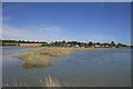 TM1115 : St Osyth Creek at High Tide by Paul Franks