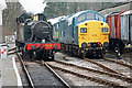 SX7466 : South Devon Railway - Buckfastleigh Station by Chris Allen