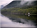 NN0264 : Loch Linnhe, Western Shore near Druim na Birlinn by David Dixon