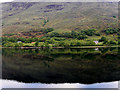 NN0873 : The Western Shore of Loch Linnhe by David Dixon