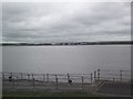 SJ3586 : View across the Mersey by Tim Glover