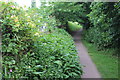 ST2987 : Footpath behind allotments, Glasllwch by M J Roscoe