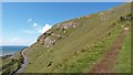 SH7683 : Pathway on Great Orme - Y Gogarth by I Love Colour