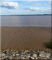 TA0425 : Shoreline along the Humber estuary by Mat Fascione