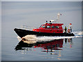 J4384 : Pilot Boat in Belfast Lough by David Dixon