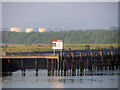 J3778 : Belfast Harbour, Kinnegar Jetty by David Dixon