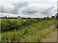 NY2366 : Hedges and fields next to A75 near Lowthertown by David Gearing