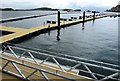 NM8529 : New pontoon berthing at Oban Harbour by Bill Kasman