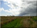 SK8088 : Footpath beside Saundby Marsh Drain by Graham Hogg