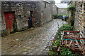 SE0974 : A ginnel in Middlesmoor by Mick Garratt