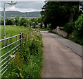 SO2813 : Lamppost in a Llanfoist field by Jaggery