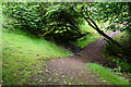 ST1241 : Path in Herridge Combe by Bill Boaden