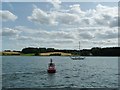 TM2238 : Red navigation buoy No. 4, River Orwell by Christine Johnstone